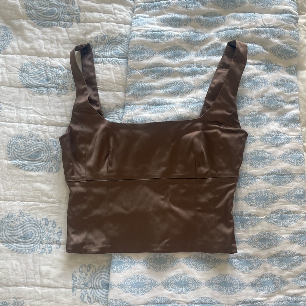 Aritzia Wilfred Shine Bustier Top